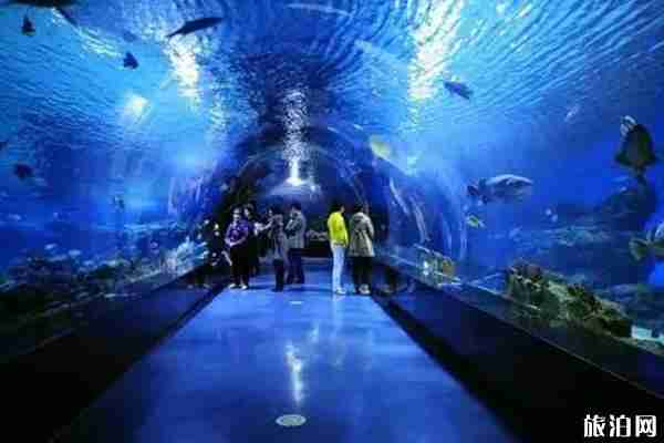 貴陽極地海洋世界門票多少 優惠政策-簡介