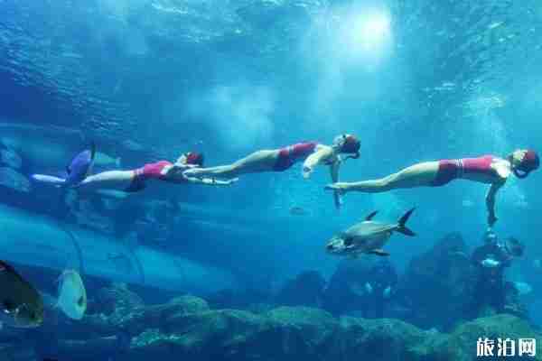 2020長沙海底世界新增免費對象 2020長沙海底世界新增免費對象