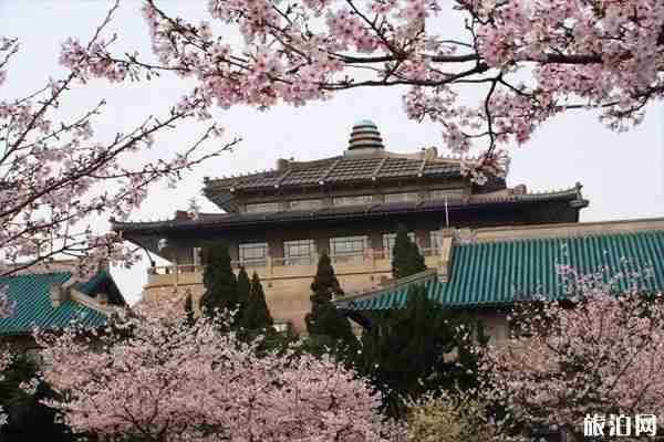 2020武漢大學(xué)櫻花直播 時(shí)間-花期-最佳觀賞點(diǎn) 2020武漢大學(xué)櫻花直播 時(shí)間-花期-最佳觀賞點(diǎn)