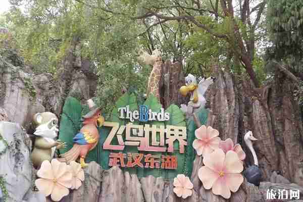 武漢東湖飛鳥(niǎo)世界對(duì)全體醫(yī)護(hù)人員免費(fèi)開(kāi)放