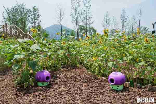 無錫植物大戰僵尸農場門票多少錢 無錫植物大戰僵尸農場門票多少錢