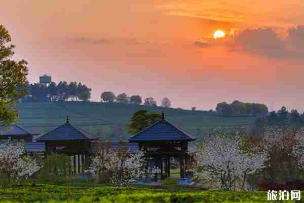 2020南昌鳳凰溝景區(qū)對全體醫(yī)護人員免費開放 2020南昌鳳凰溝景區(qū)對全體醫(yī)護人員免費開放