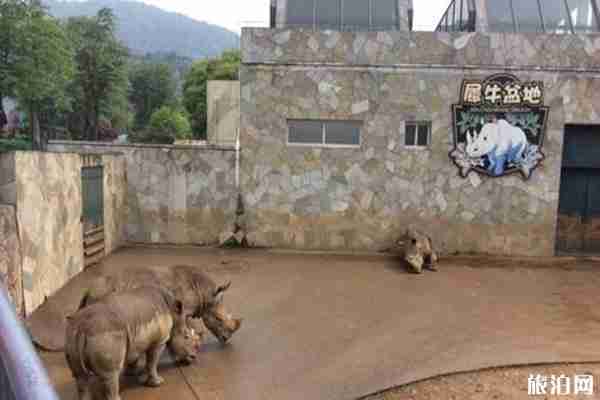 無錫動物園年卡怎么辦理 卡丟了怎么辦