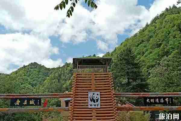 2020黑河國家森林公園對全國醫護人員免費和旅游攻略