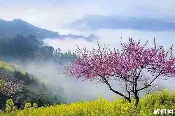 2020江西5家5A級景區恢復開放和景區介紹