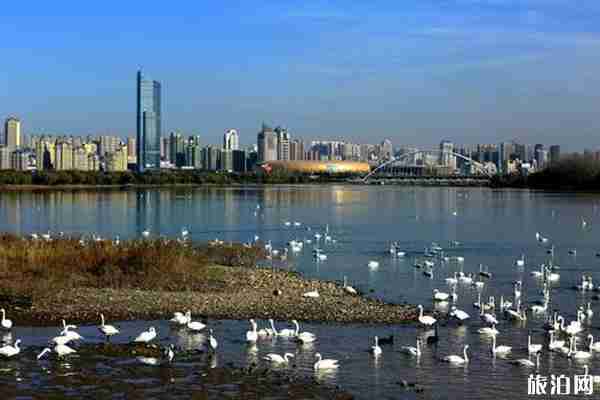 2020三門峽對醫護人員免費景區有哪些