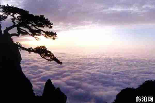 2020廬山景區對醫護免費 附優惠措施 2020廬山景區對醫護免費 附優惠措施