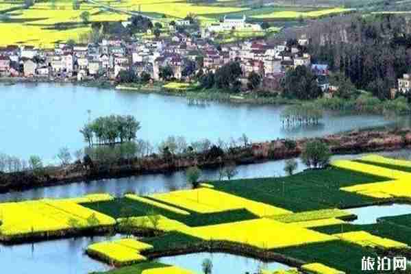 安徽春季旅游最佳去處推薦 安徽春季旅游最佳去處推薦