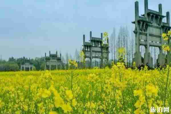 安徽春季旅游最佳去處推薦 安徽春季旅游最佳去處推薦