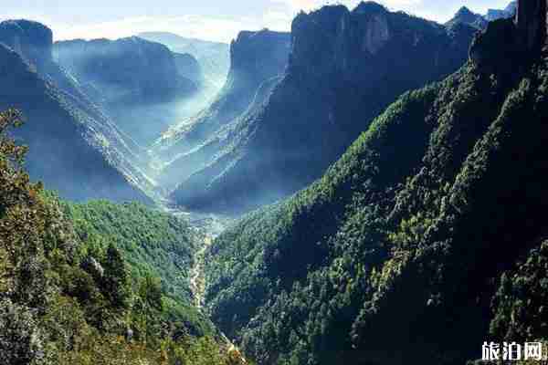 2020麗江老君山恢復(fù)開(kāi)放 附游玩指南