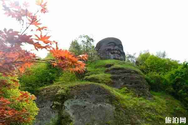 2020新昌大佛寺恢復開放