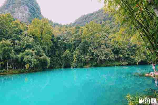 2020荔波小七孔景區恢復開放時間和旅游攻略