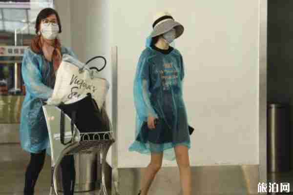 2020清明節旅游人數會變多嗎 全國多地景區恢復開放