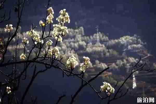 四川金川縣有什么好玩的景點