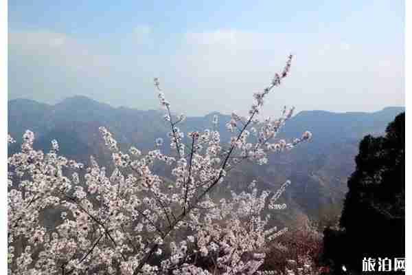 北京房山春季旅游賞花攻略 北京房山春季旅游賞花攻略