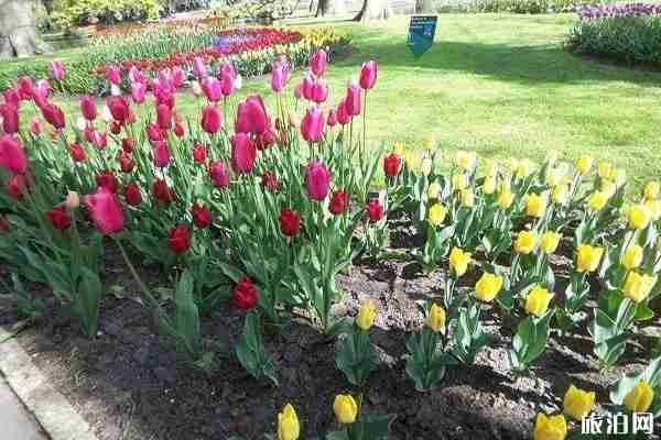 北京房山春季旅游賞花攻略 北京房山春季旅游賞花攻略