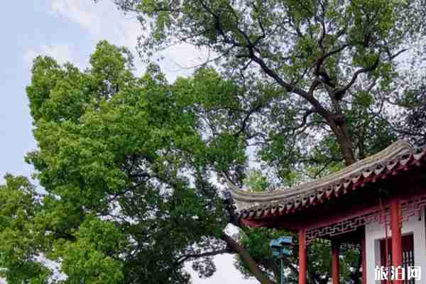 2020嘉興南湖恢復(fù)開放時間和旅游攻略