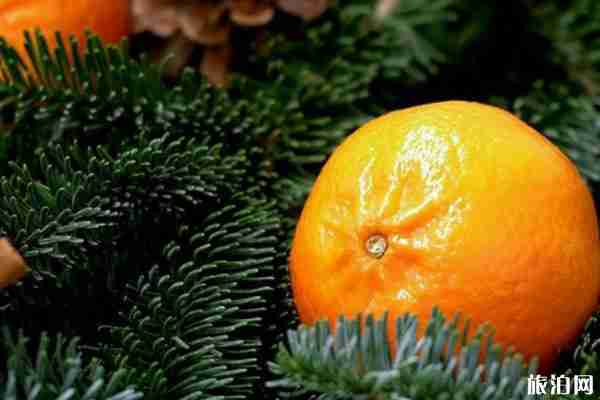 2020意大利橘子大戰如期舉行 1.5萬人現場參與 2020意大利橘子大戰如期舉行 1.5萬人現場參與