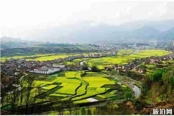 春季安康賞花的地方有哪些