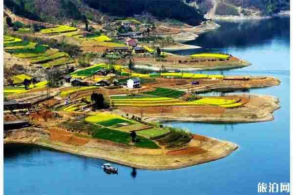 春季安康賞花的地方有哪些