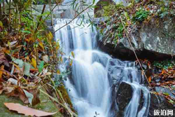 2020連云港景區開放了嗎和哪些景區開放了 2020連云港景區開放了嗎和哪些景區開放了