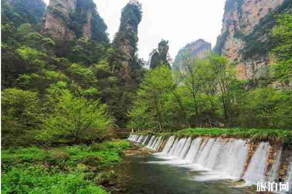 2020張家界武陵源什么時候開放和旅游路線推薦 2020張家界武陵源什么時候開放和旅游路線推薦