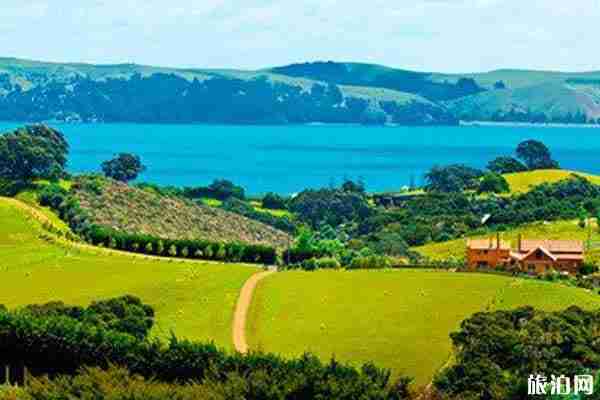 2020新西兰入境限制令留学生怎么办 2020新西兰入境限制令留学生怎么办