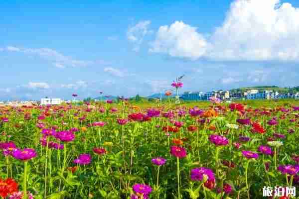 2020成都春季賞花攻略 景點-交通指南 2020成都春季賞花攻略 景點-交通指南