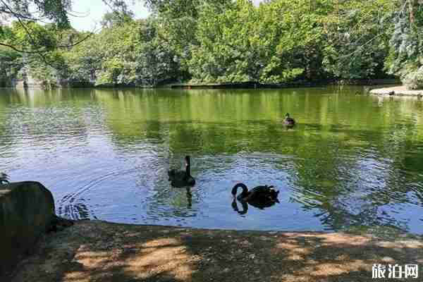2020南寧動物園開放時間 門票-交通-停車指南 2020南寧動物園開放時間 門票-交通-停車指南
