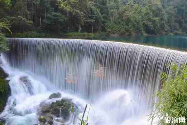 65歲以上免費的全國景點有哪些