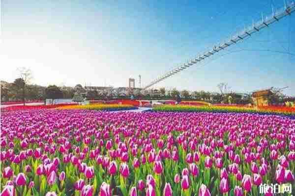 成都需要預約的景區匯總 附目前開發景區 成都需要預約的景區匯總 附目前開發景區