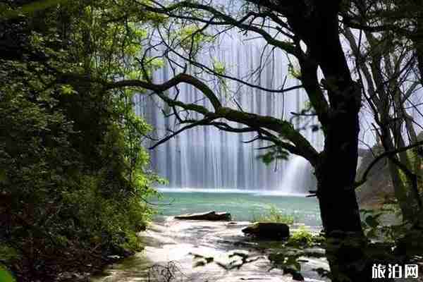 溫州景區恢復有哪些 附開放-預約方式