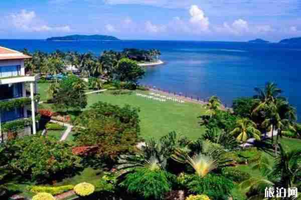 2020亞洲哪些國家對中國進行入境管制