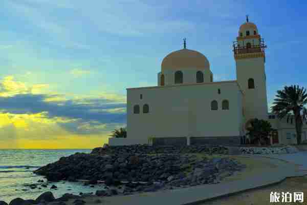 2020亞洲哪些國家對中國進行入境管制