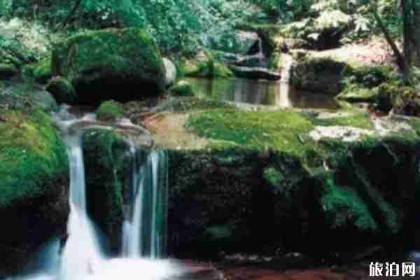 2020寶雞大水川靈寶峽九龍山景區免費游玩 附優惠措施 2020寶雞大水川靈寶峽九龍山景區免費游玩 附優惠措施