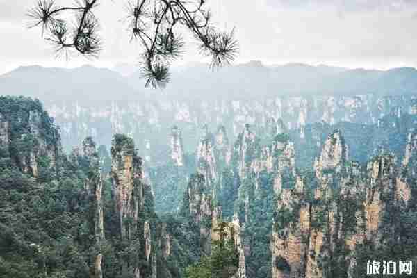 2020張家界武陵源景區開放時間 附最新優惠政策
