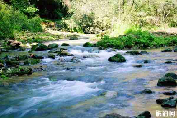 2020張家界武陵源景區開放時間 附最新優惠政策