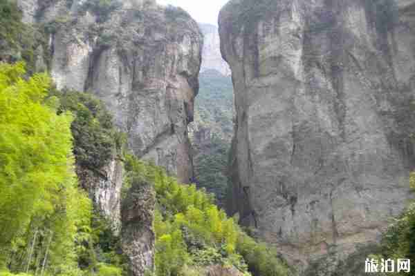 雁荡山景区开放了没 开放时间-最新优惠政策