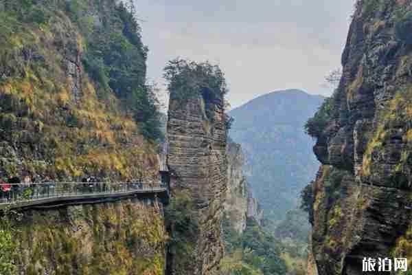雁荡山景区开放了没 开放时间-最新优惠政策 雁荡山景区开放了没 开放时间-最新优惠政策