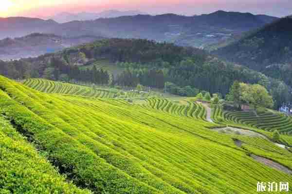 2020賨人谷景区开放时间 游玩攻略-景点介绍