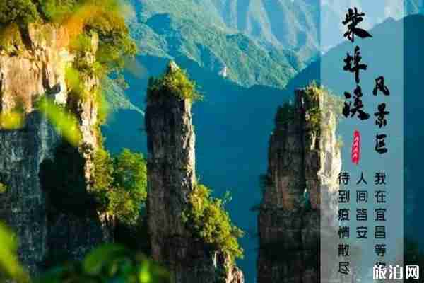 宜昌哪些景区对医护人员终身免票