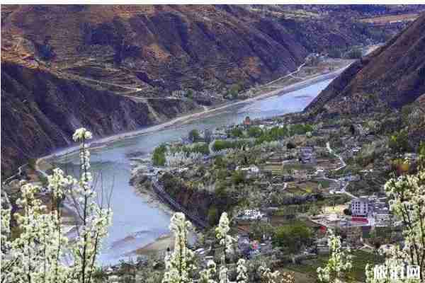 哪里的梨花最好看 梨花观赏地推荐