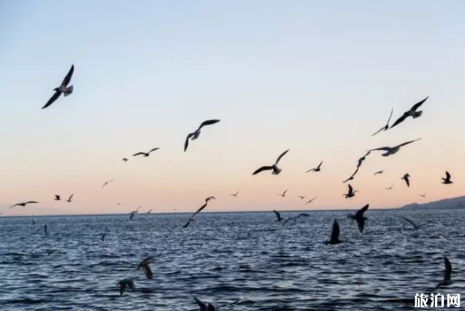 2020全國(guó)各地最佳旅游時(shí)間表 現(xiàn)在去哪旅游最合適