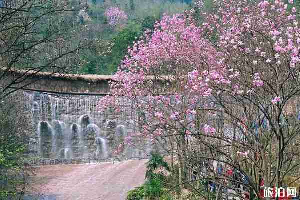 2020九皇山門票免費政策和游玩攻略