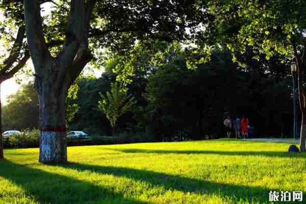 昆明部分公園恢復開放時間-范圍 西華公園和曇華寺公園