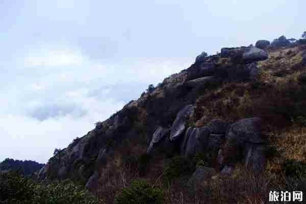 八閩健康碼怎么使用 八閩健康碼有什么用