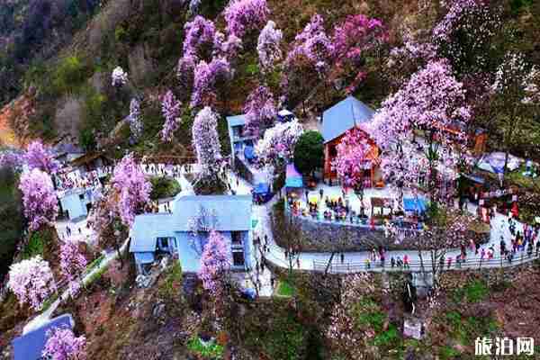綿陽北川有哪些景點開放 附開放時間和范圍 綿陽北川有哪些景點開放 附開放時間和范圍