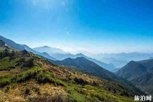 2020湖南省植物園預約入口及預約流程