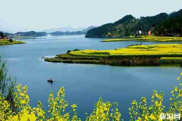 2020漢中油菜花節主會場在哪和時間和路線