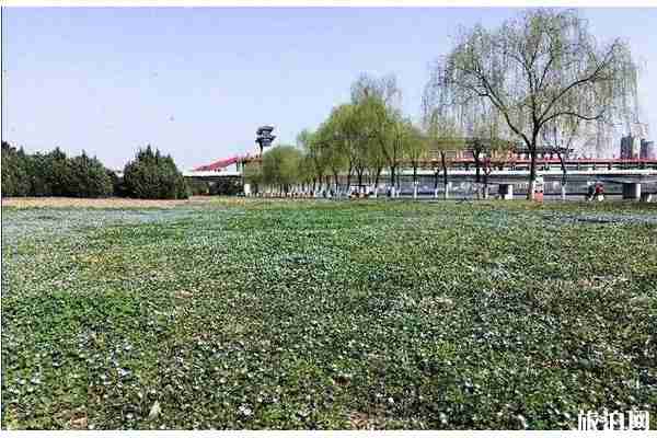 三月咸陽賞花的地方有哪些 三月咸陽賞花的地方有哪些